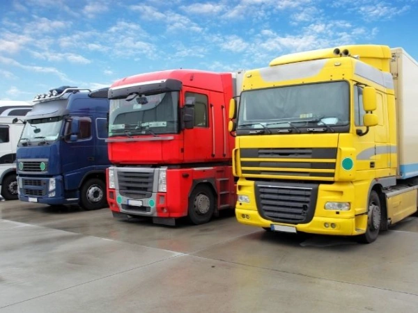 Bursa Borçka Nakliye